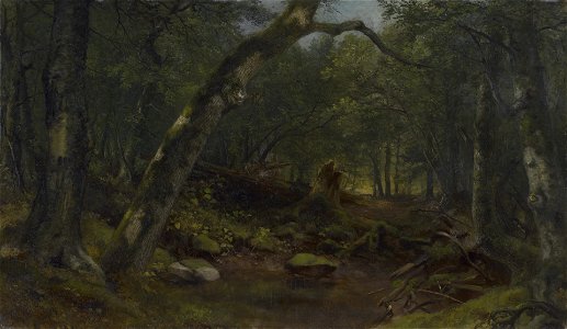 Asher Brown Durand - Artists’ Lane after a Shower - 1974.82.1 - Yale University Art Gallery