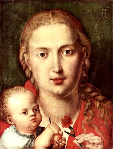 Albrecht Dürer - The Madonna of the Carnation - WGA7000. Free illustration for personal and commercial use.