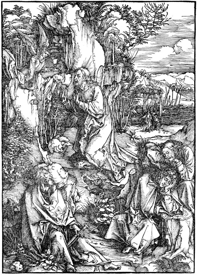 Durer, la grande passione 02