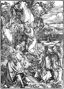 Durer, la grande passione 02