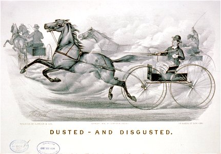Dusted-and digusted LCCN91796274