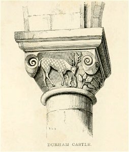 Durham Castle Capital stylesofarchitec00rick 0142