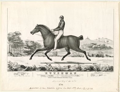 Dutchman- Beacon course, N.J. August, 1st 1839. Match $1000 a side 3 miles under saddle, against time 7m. 49 sec LCCN91796276