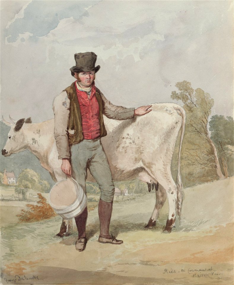 DV271 Rees the cowman of Briton Ferry
