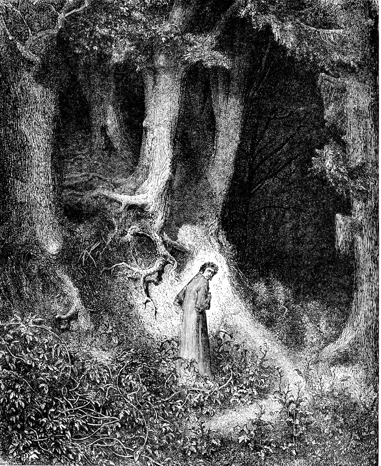 DVinfernoDuskyWood m
