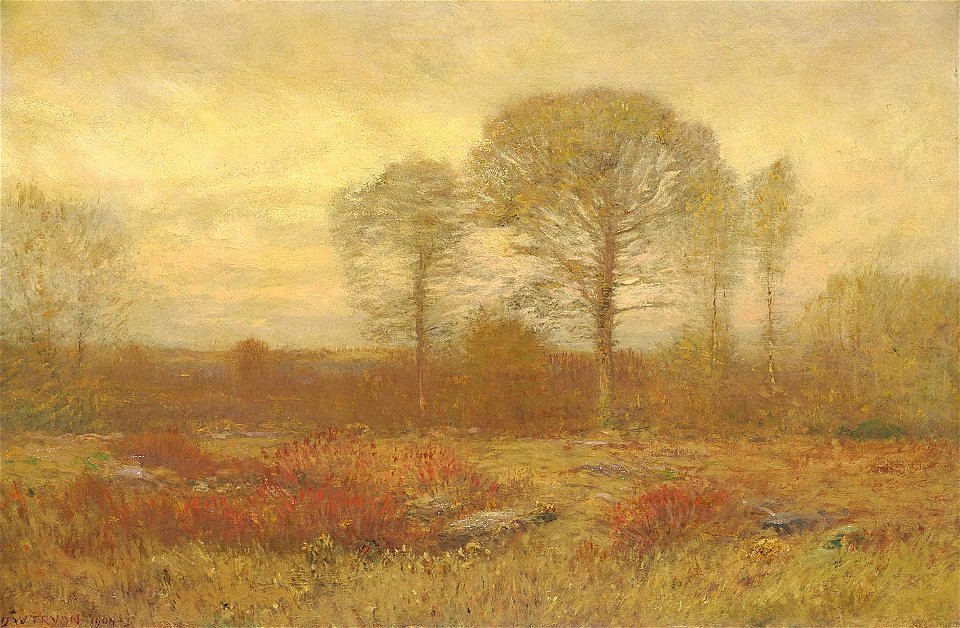 Dwight W. Tryon - November - 1909.7.63 - Smithsonian American Art Museum