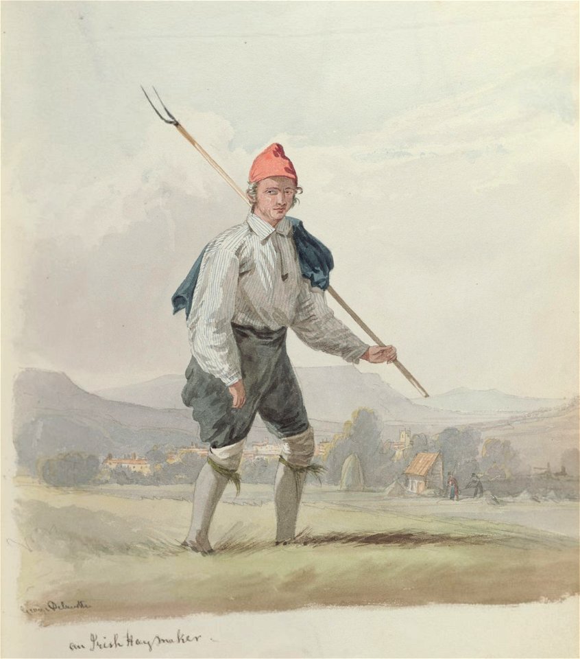 DV271 An Irish hay maker
