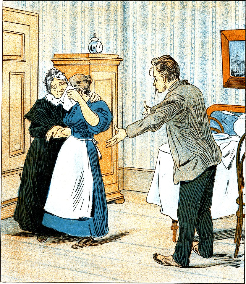 Dyre Tider Ravnen1896