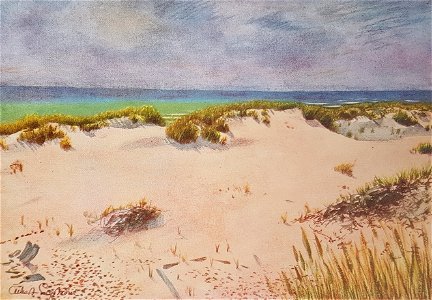 Dyninsida Gotska sandön x Albert Engström 1925