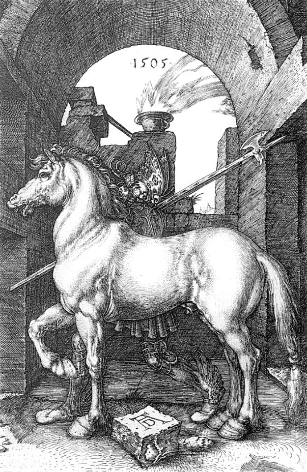 Dürer - Das kleine Pferd