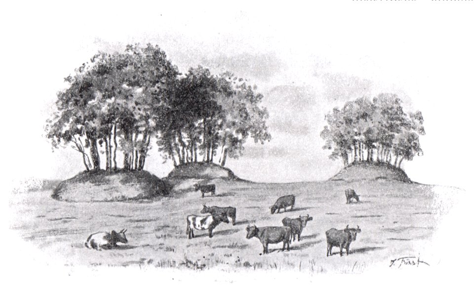 Dänischenhagen Hühnengräber 01