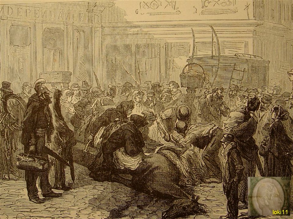 Dépècement d'un cheval