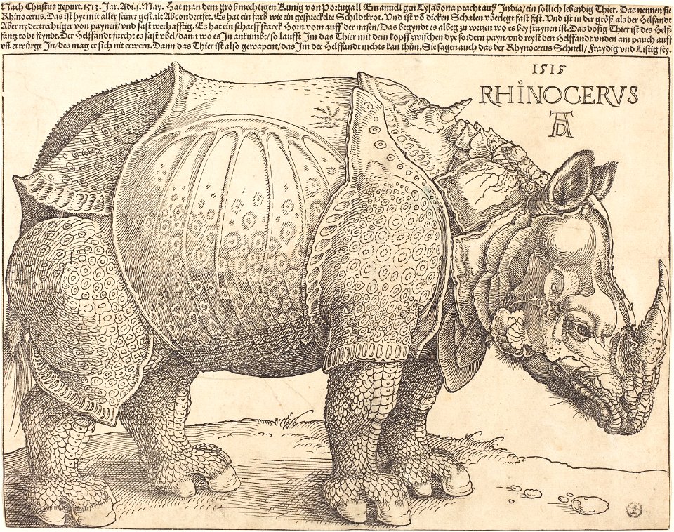 Albrecht Dürer - The Rhinoceros (NGA 1964.8.697)