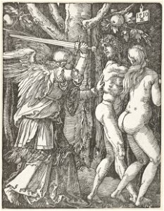Dürer - Die Vertreibung aus dem Paradies