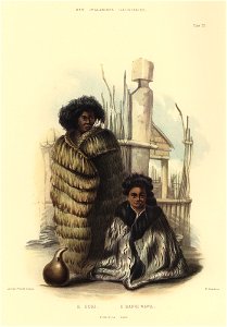 E PORI, E RANGI WAWA. PORIRUA PAH, The New Zealanders Illustrated, 1847