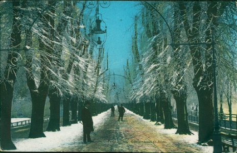 Düsternbrooker Allee am Schlossgarten (Kiel 82.850)