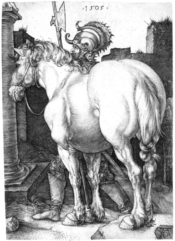 Dürer - Das große Pferd