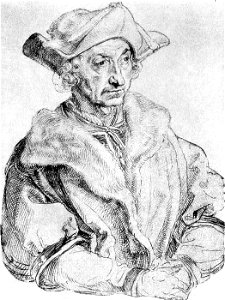 Duerer brant
