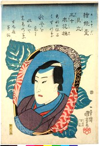 E-kyodai mitate sanju bokuka sen 繪鏡臺見立三十木花撰 (Sibling Pictures- Parody of Thirty Selected Trees and Flowers) (BM 2008,3037.12707)