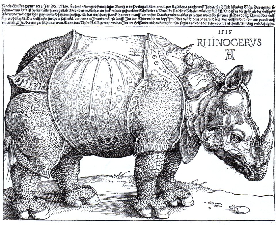 Rhinocerus woodcut (1515) Albrecht Dürer