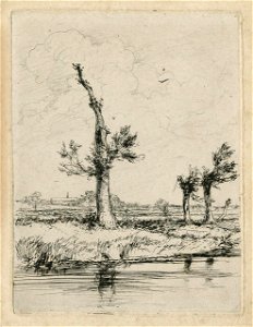 E.T. Daniell - Pollard Trees, Hellesdon