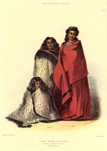 E RUA, E PARI AND E HOKI, WOMEN OF NGATITOA TRIBE, COOK'S STRAITS, The New Zealanders Illustrated, 1847