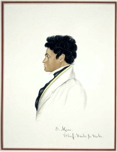 E Manu. Chief - Wauka pa Wauka, watercolour & gum arabic by Isaac Coates