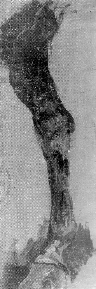 Eakins fairman rogers horse leg study