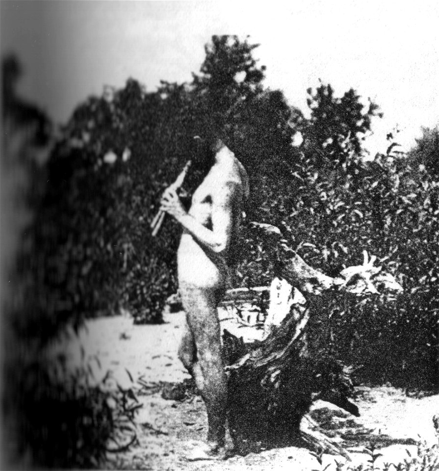 Eakins H45