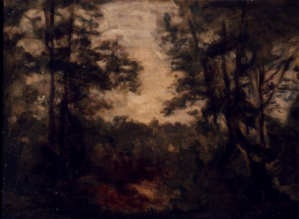 Eakins landscape G106B