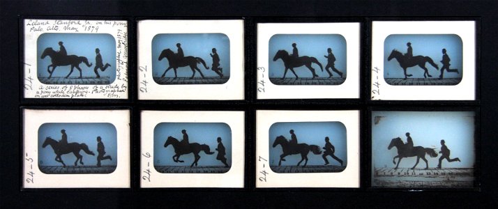 Eadweard Muybridge - Leland Stanford Jr. on his Pony Gypsy - Google Art Project. Free illustration for personal and commercial use.