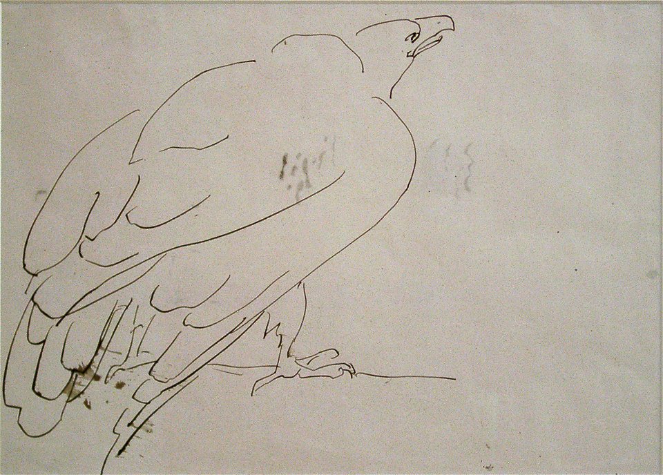 Eagle (drawing)