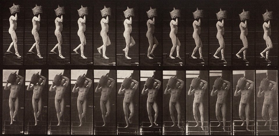 Eadweard Muybridge - Animal Locomotion, Plate 136 - Google Art Project