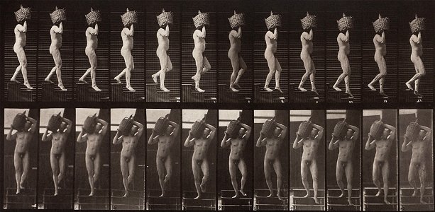 Eadweard Muybridge - Animal Locomotion, Plate 136 - Google Art Project