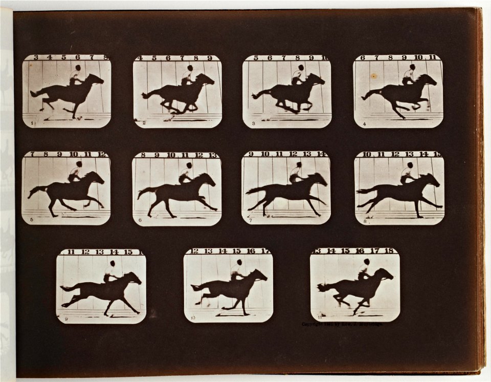 Eadweard Muybridge - Sallie Gardner Running from The Attitudes of Animals in Motion - Google Art Project