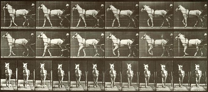 Eadweard Muybridge - Walking, Sulky, LightGray mare, Katydid - Google Art Project. Free illustration for personal and commercial use.