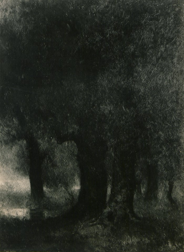 Early morning (HS85-10-24501)