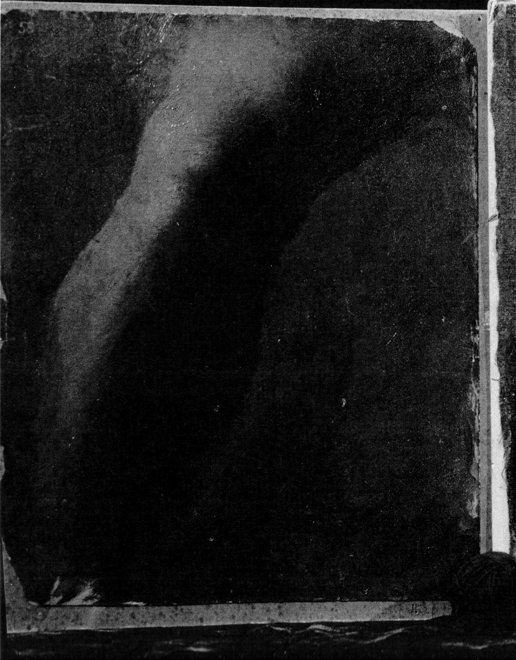 Eakins Study of a leg G21