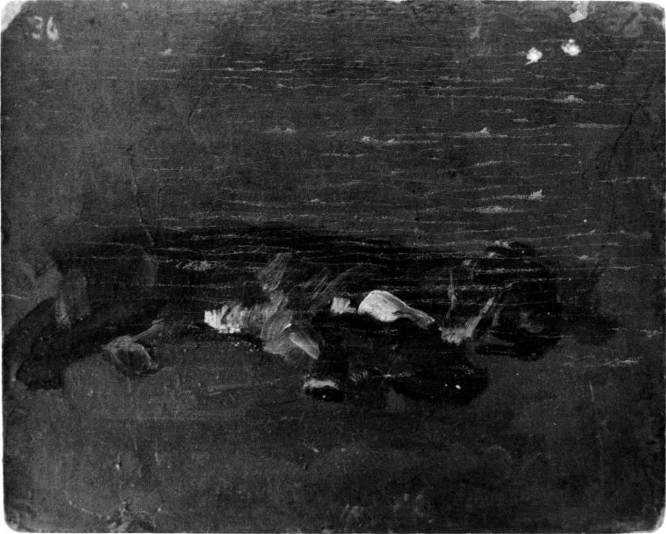 Eakins G183