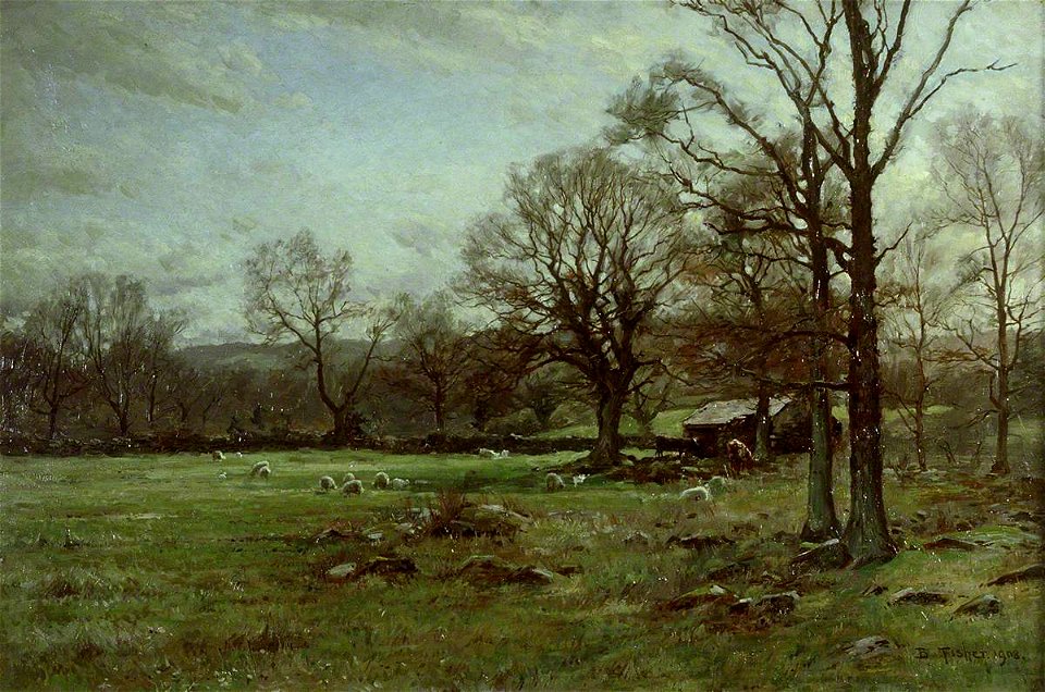 Early Spring, Dolcwm, Talycafn (gcf02011)