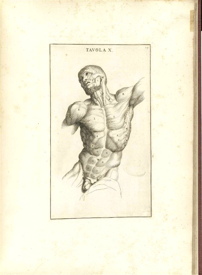 Genga 19