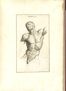 Genga 19