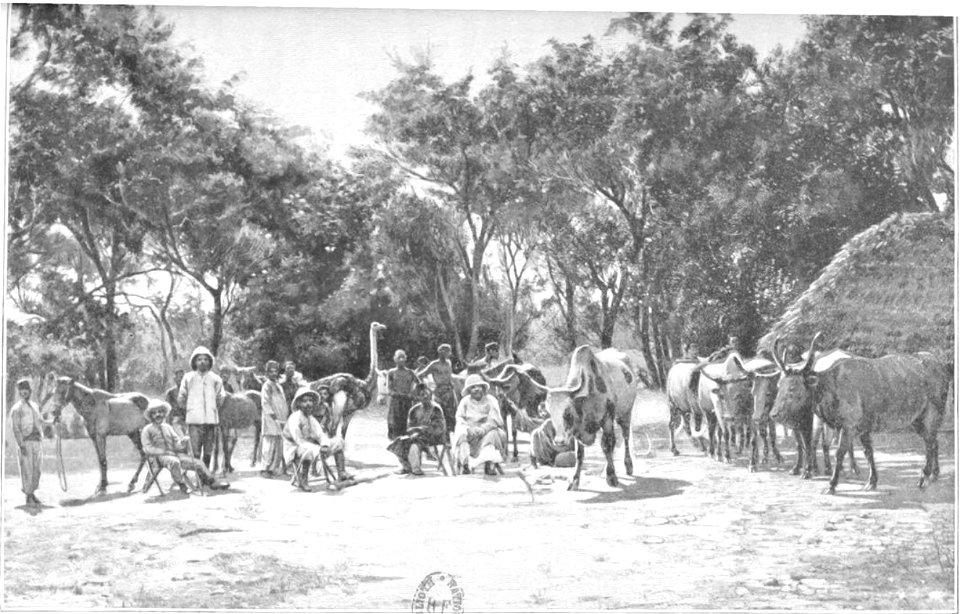 Gentil, La chute de l’empire de Rabah, p063
