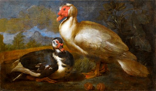 Genuesische Schule 17Jh Zwei Moschusenten in einer Landschaft