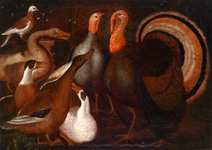 Genuesische Schule 17Jh Puten Enten und eine Taube