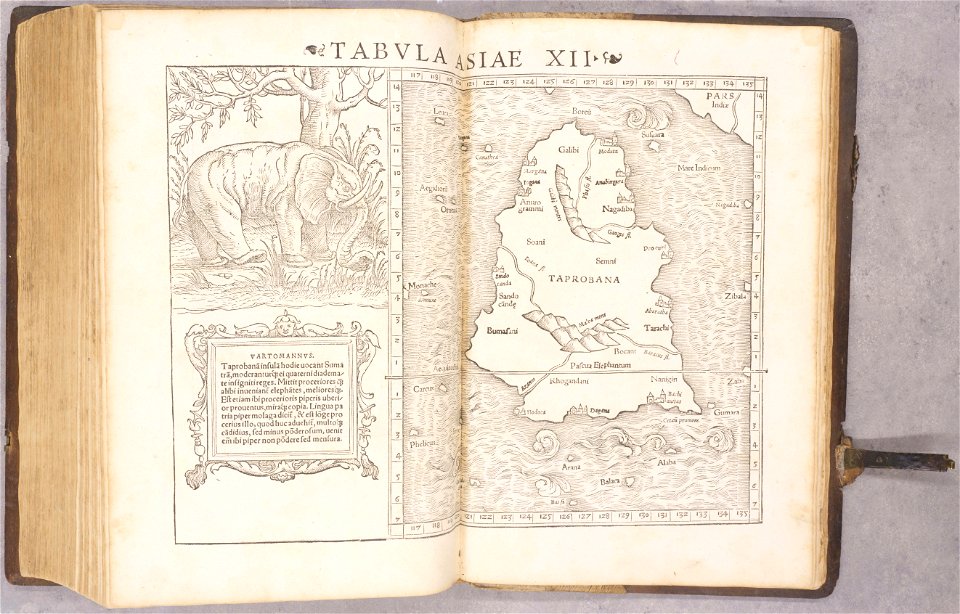 Geographiae Claudii Ptolemaei Alexandrini (Münster, 1552) 31