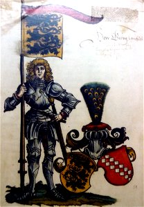 Georg I Wolfegg