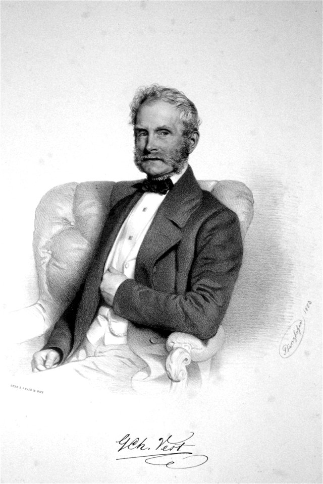 Georg Chrysant Vest Litho