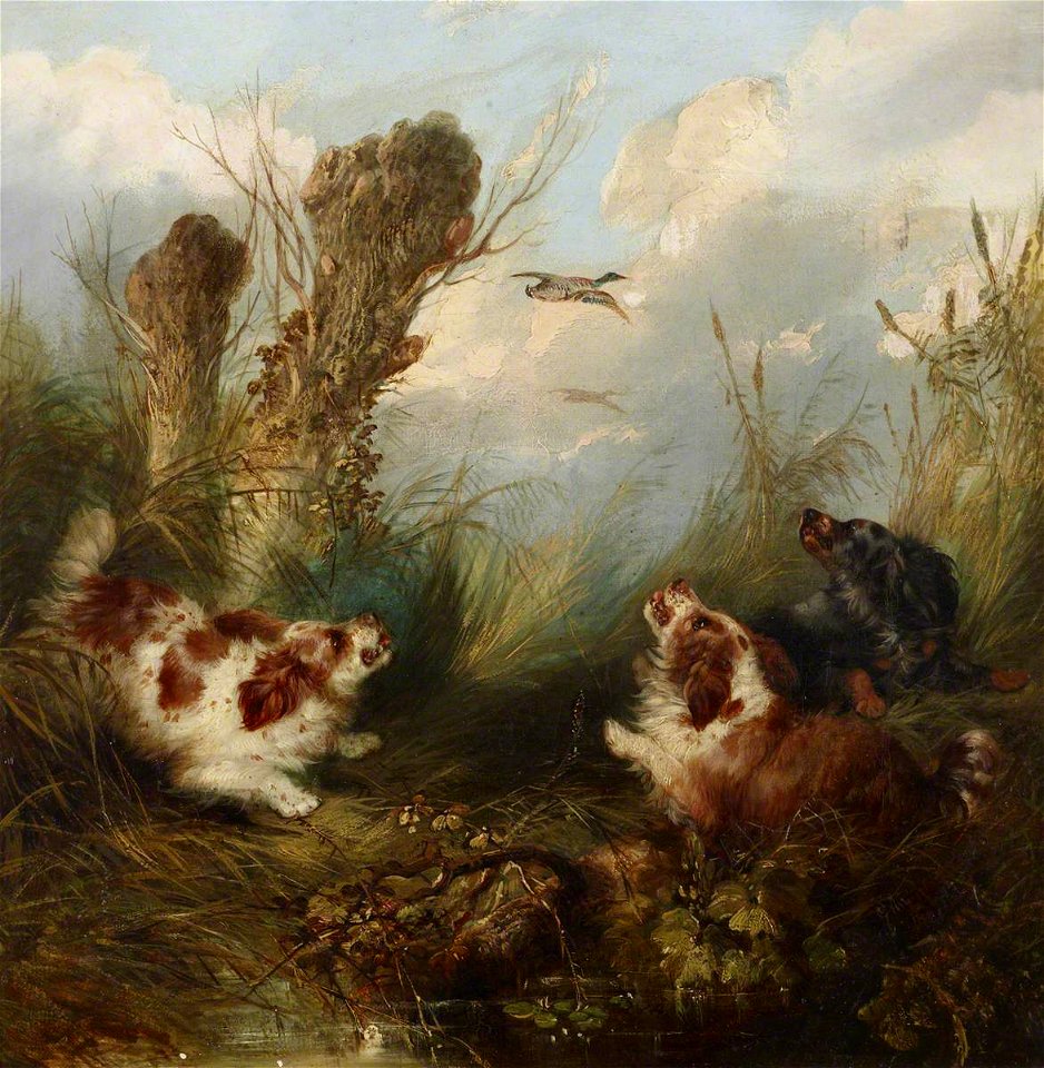 George Armfield (1810-1893) - Three Spaniels Putting Up a Brace of Mallard - 515745 - National Trust