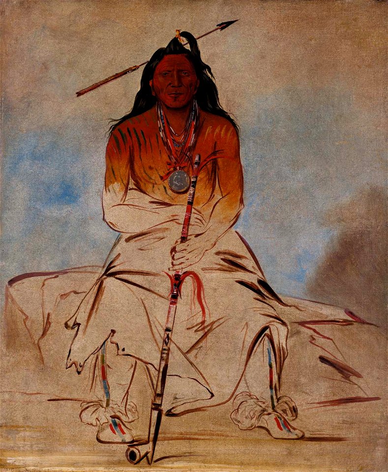 George Catlin - Ah-sháw-wah-róoks-te, Medicine Horse, a Grand Pawnee Brave - 1985.66.101 - Smithsonian American Art Museum